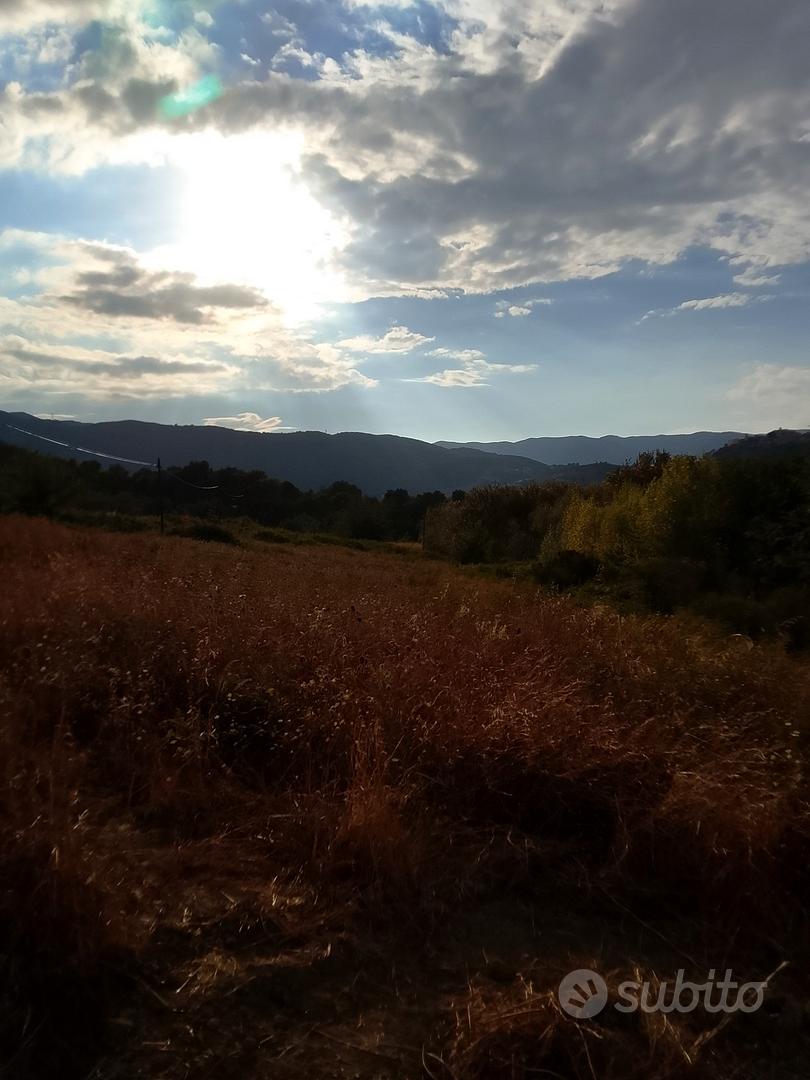 terreno agricolo in saporito - Vista 4