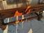Immagine 5