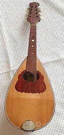 Mandolini da restaurare