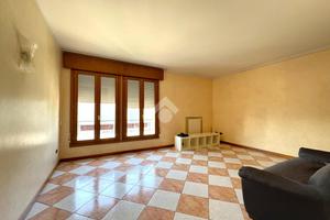 3 LOCALI A VIGONZA