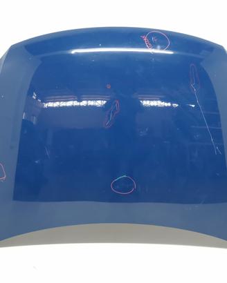 COFANO ANTERIORE VOLKSWAGEN Tiguan 1° Serie 5N082