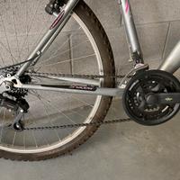 Bicicletta ragazzo/a