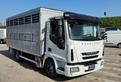 IVECO EUROCARGO 100E22 TRASPORTO ANIMALI MT5.10+