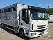 IVECO EUROCARGO 100E22 TRASPORTO ANIMALI MT5.10+