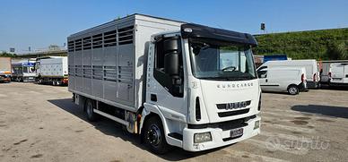 IVECO EUROCARGO 100E22 TRASPORTO ANIMALI MT5.10+