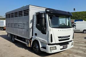 IVECO EUROCARGO 100E22 TRASPORTO ANIMALI MT5.10+