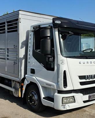 IVECO EUROCARGO 100E22 TRASPORTO ANIMALI MT5.10+