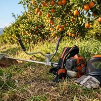 Esperto decespugliatore per terreni agricoli