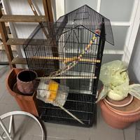 Gabbia per canarini-pappagalli