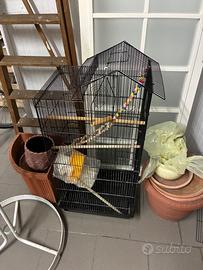 Gabbia per canarini-pappagalli