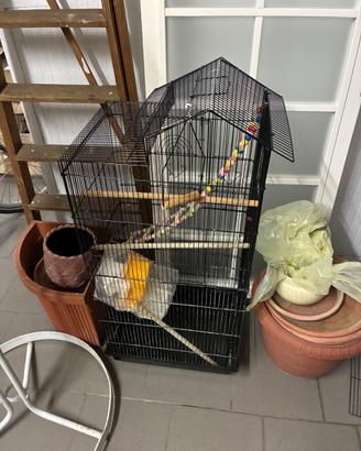 Gabbia per canarini-pappagalli