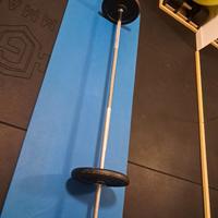 Bilanciere toorx 180