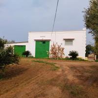 Azienda agricola biologica