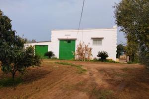 Azienda agricola biologica