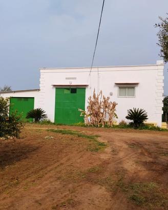 Azienda agricola biologica