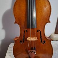 VIOLA