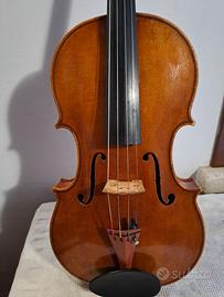 VIOLA