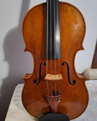 VIOLA