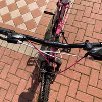 Bicicletta da ragazza/donna