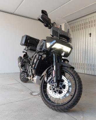 Harley Davidson Pan America Special 2024