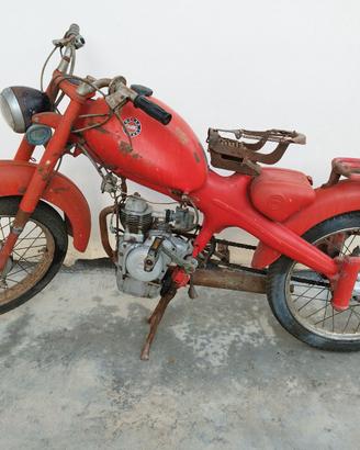 motom