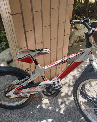 Bicicletta bambini (3-6 anni)