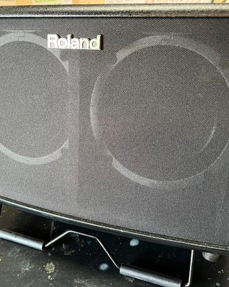 Roland AC-60