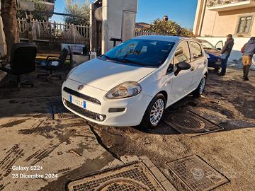 Fiat Punto 1.3 MJT II S&S 95 CV 5 porte Street