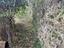 Immagine 29