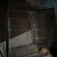 Gabbia per uccelli
