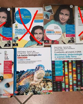 Libri scolastici 