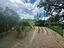 Immagine 25