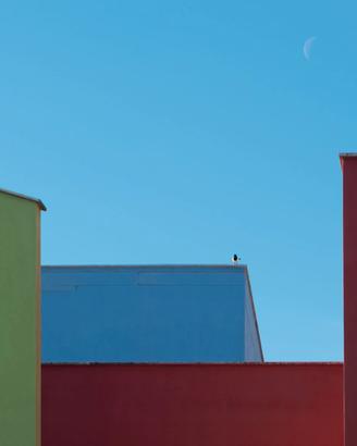 DITTICO - FINE ART PRINTS AUTHOR CLAUDIA COSTANTIN