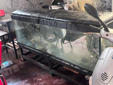 Acquario 2 metri
