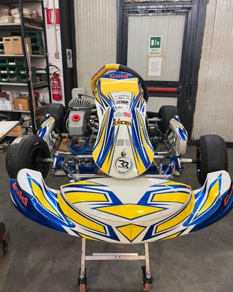 go kart righetti ridolfi motore rok60cc