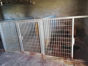 Box per cani