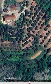 Tenuta CAVALLINI TOTI