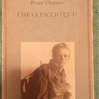 Che ci faccio qui? - Chatwin