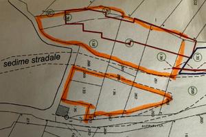 Terreno agricolo ex VIGNETO