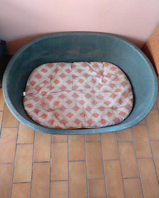 Cuccia