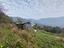 Immagine 9