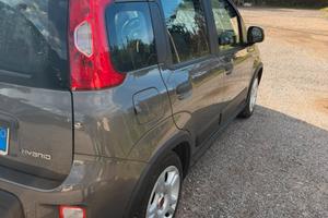 PANDA IBRIDA PARI AL NUOVO