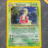 Pokemon meganium