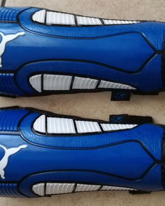 Parastinchi Puma