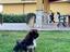 Immagine 2