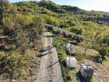 Terreno agricolo con attrezzatura e pozzo