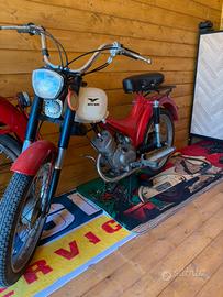 GUZZI DINGO
