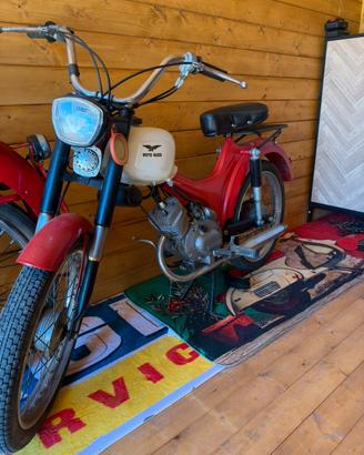 GUZZI DINGO
