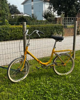 bicicletta grazziella