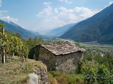 Rustico con terreno Valtellina